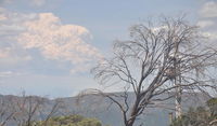 Book Mount Buller Accommodation Vacations Accommodation Sunshine Coast Accommodation Sunshine Coast