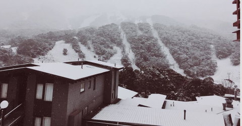 Snowman 1 - Accommodation Sunshine Coast 1