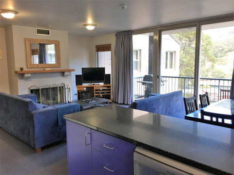 Snowman 6 - Accommodation Sunshine Coast 3