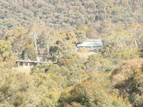 Snowy Wilderness - Accommodation Sunshine Coast 1