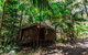 Songbirds Rainforest Retreat - thumb 2