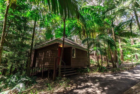 Songbirds Rainforest Retreat - Accommodation Sunshine Coast 2