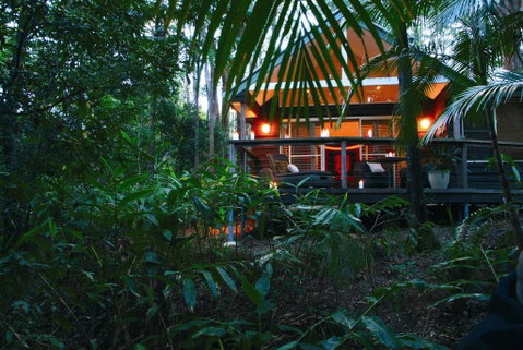 Songbirds Rainforest Retreat - Accommodation Sunshine Coast 0