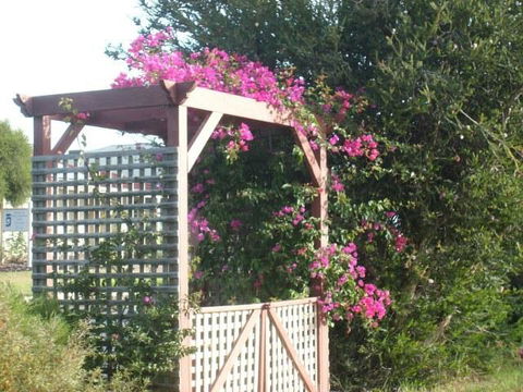 Southern Vales Bed & Breakfast - Accommodation Sunshine Coast 3