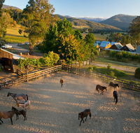 Spring Spur - Accommodation Sunshine Coast