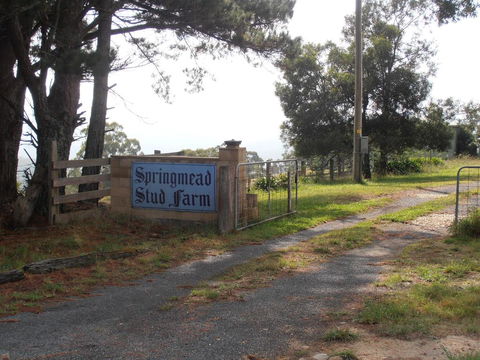 Springmead B&B - Accommodation Sunshine Coast 2