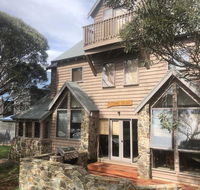 Square Bear-DPA - Accommodation Sunshine Coast