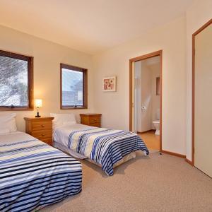 Square Bear-DPA - Accommodation Sunshine Coast 3