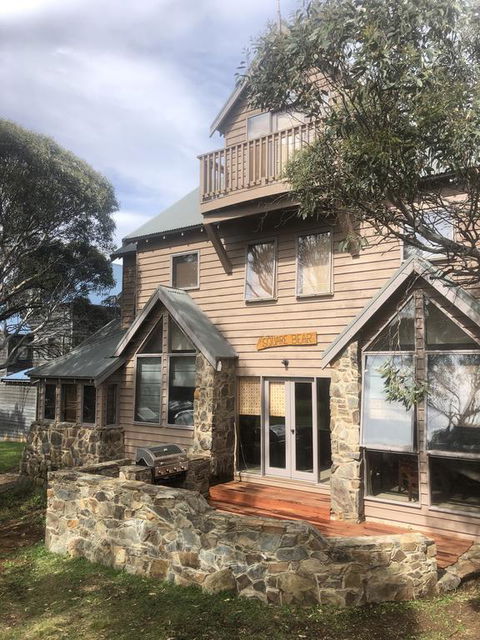 Square Bear-DPA - Accommodation Sunshine Coast 0