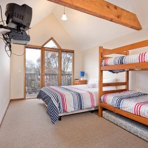 Square Bear-DPA - Accommodation Sunshine Coast 2