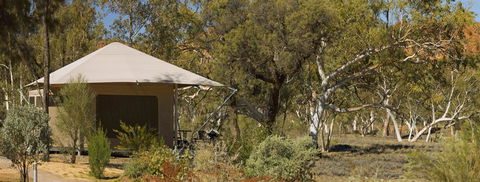 Squeakywindmill Boutique Tent B&B - Accommodation Sunshine Coast 3