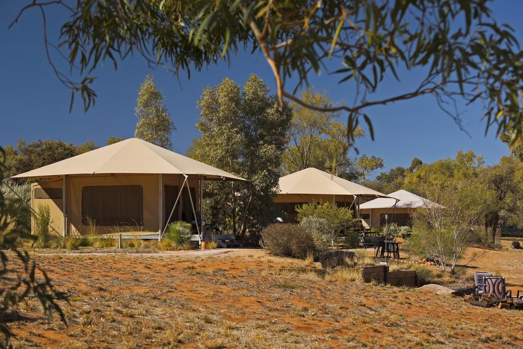 Ciccone NT Accommodation Sunshine Coast