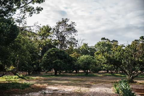 Standing Stone House - Accommodation Sunshine Coast 3