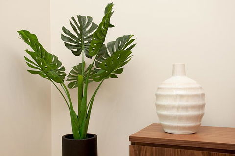 STAY&CO North Sydney Crows Nest - Accommodation Sunshine Coast 2