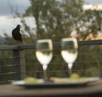 Stockton Rise Country Retreats - Accommodation Sunshine Coast