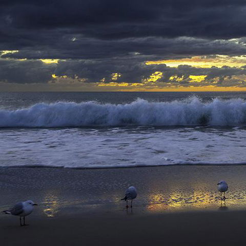 Surfers Horizons - Accommodation Sunshine Coast 3