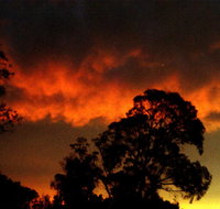 Taits Place Vineyard B  B - Accommodation Sunshine Coast