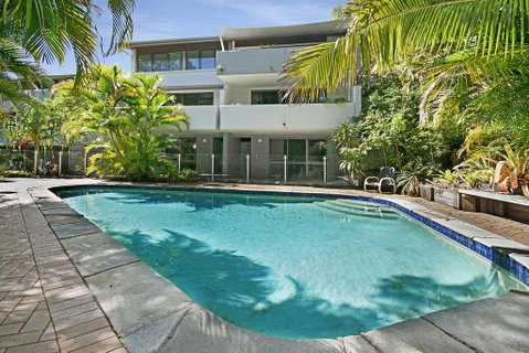 Tea Trees - Accommodation Sunshine Coast 0