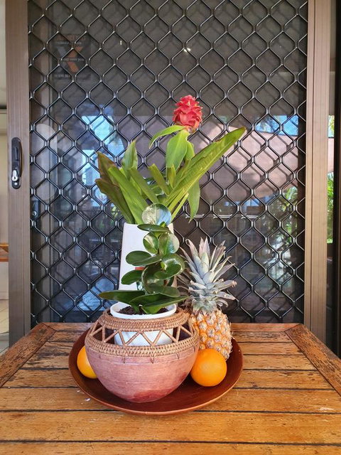 The Balinese - Accommodation Sunshine Coast 2