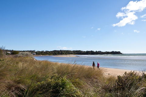 Pearl Hawley Beach - Accommodation Sunshine Coast 40