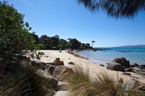 Pearl Hawley Beach - Accommodation Sunshine Coast 35