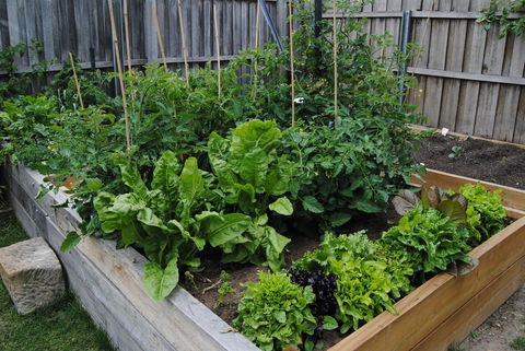 Brampton Cottage - Accommodation Sunshine Coast 4