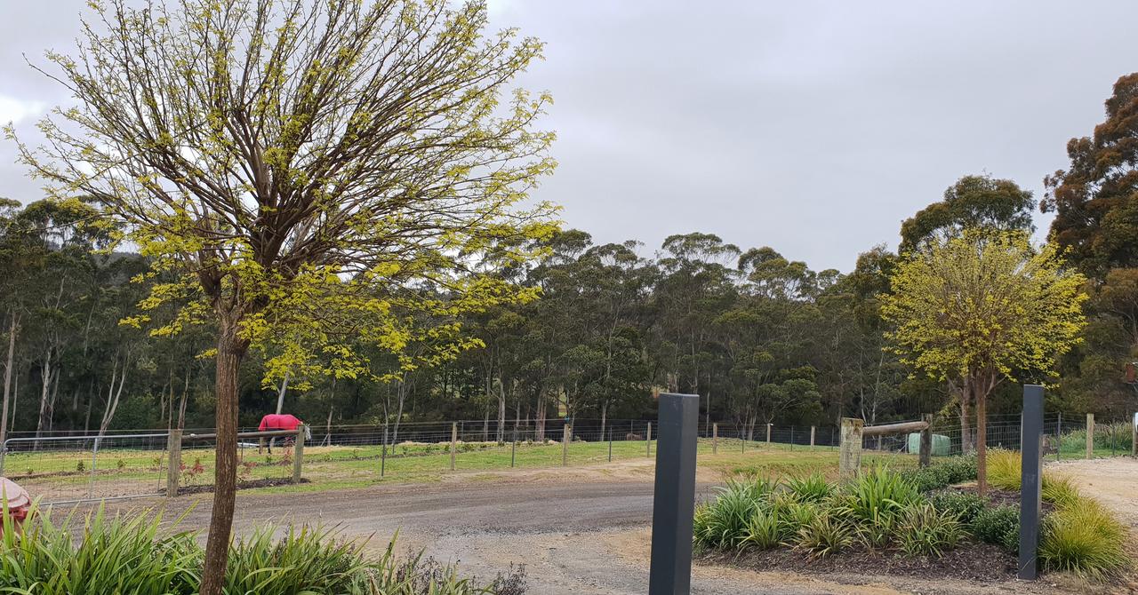  Accommodation Sunshine Coast