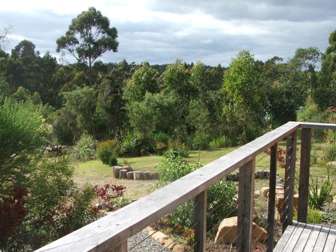 Southern Forest Accommodation - Accommodation Sunshine Coast 21