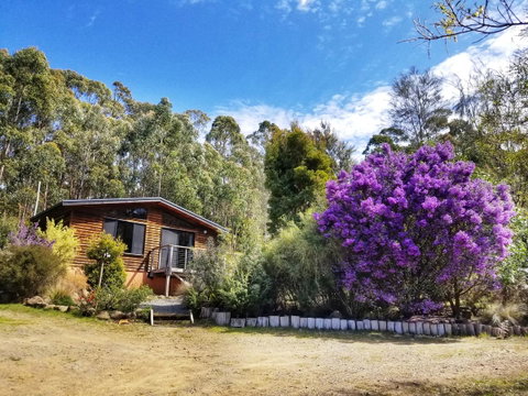 Southern Forest Accommodation - Accommodation Sunshine Coast 10