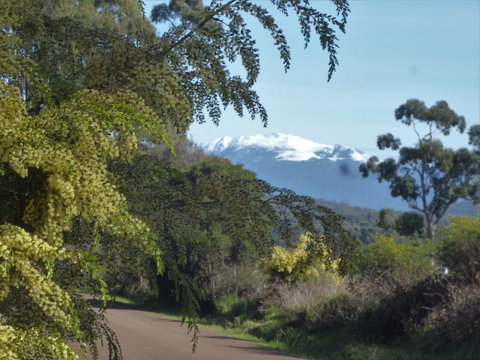 Southern Forest Accommodation - Accommodation Sunshine Coast 24