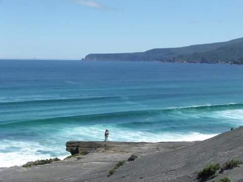 Southern Forest Accommodation - Accommodation Sunshine Coast 27