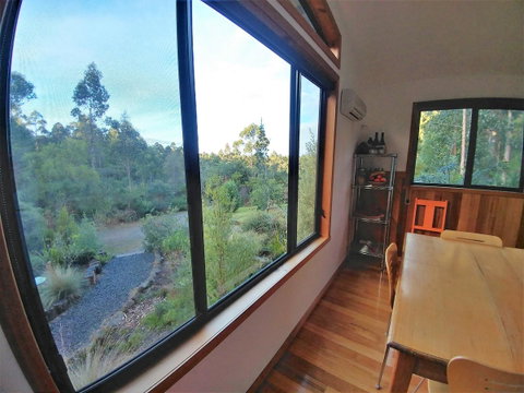 Southern Forest Accommodation - Accommodation Sunshine Coast 9