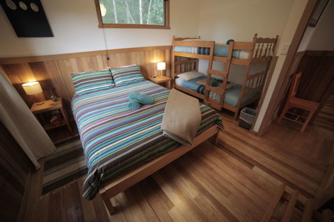Southern Forest Accommodation - Accommodation Sunshine Coast 15