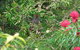 Southern Forest Accommodation - thumb 12
