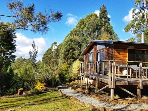 Southern Forest Accommodation - Accommodation Sunshine Coast 0
