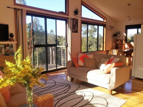 Southern Forest Accommodation - Accommodation Sunshine Coast 3