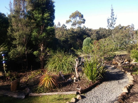 Southern Forest Accommodation - Accommodation Sunshine Coast 2