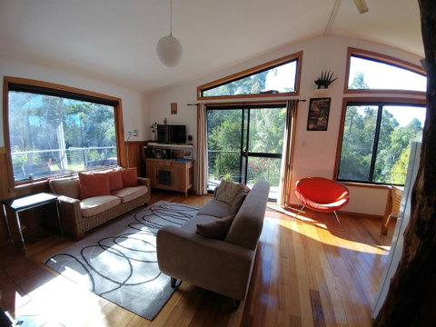 Southern Forest Accommodation - Accommodation Sunshine Coast 5