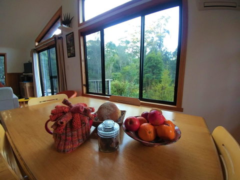Southern Forest Accommodation - Accommodation Sunshine Coast 11