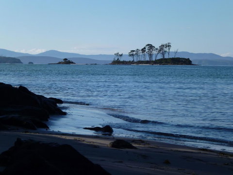 Southern Forest Accommodation - Accommodation Sunshine Coast 26