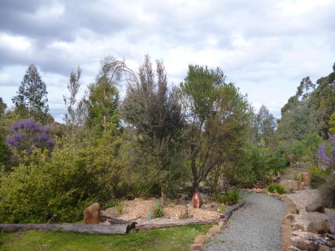 Southern Forest Accommodation - Accommodation Sunshine Coast 23