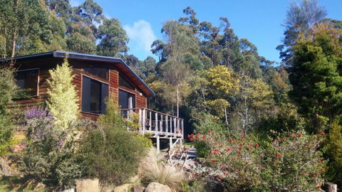 Southern Forest Accommodation - Accommodation Sunshine Coast 7