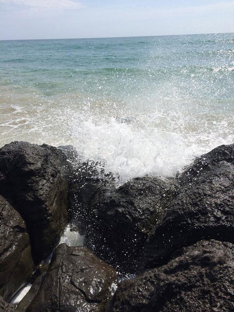 Seaspray - Accommodation Sunshine Coast 25