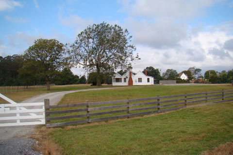 Buttons Cottage For Canyon & Rain Forest Walks With In House Dining - Accommodation Sunshine Coast 16