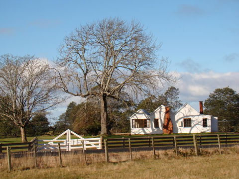 Buttons Cottage For Canyon & Rain Forest Walks With In House Dining - Accommodation Sunshine Coast 7