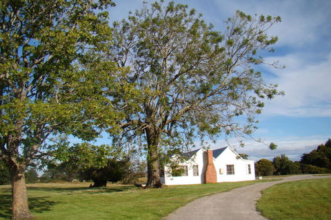 Buttons Cottage For Canyon & Rain Forest Walks With In House Dining - Accommodation Sunshine Coast 2