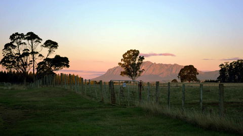 Buttons Cottage For Canyon & Rain Forest Walks With In House Dining - Accommodation Sunshine Coast 31