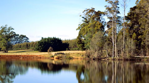 Buttons Cottage For Canyon & Rain Forest Walks With In House Dining - Accommodation Sunshine Coast 29