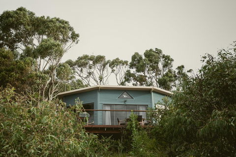 Larus Waterfront Cottage - Accommodation Sunshine Coast 15