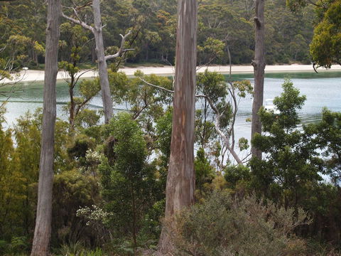 Stewarts Bay Lodge - Accommodation Sunshine Coast 23